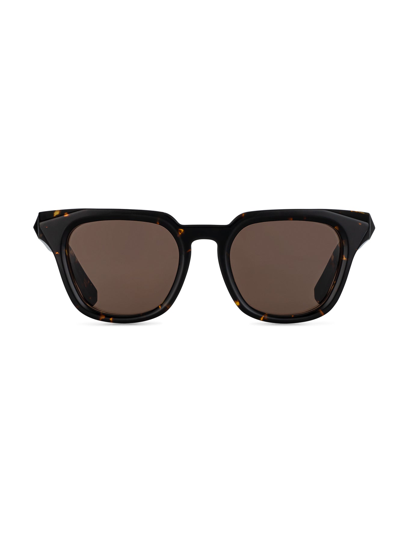 RENEGADE Tortoise | Brown Saint Owen